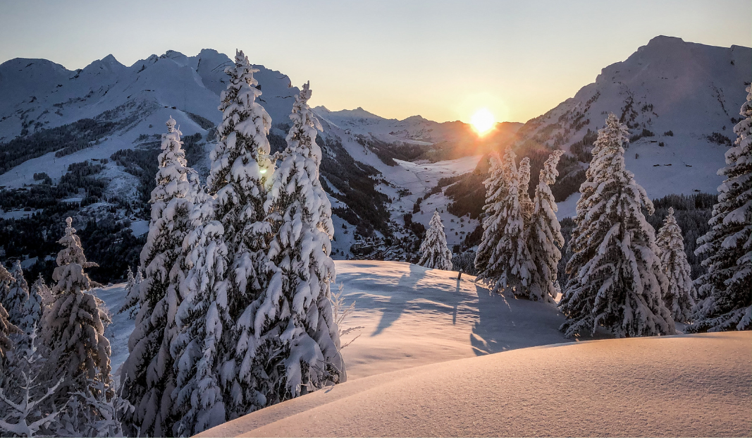 Beauregard Round-trip