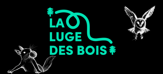 Sledding All Year Round